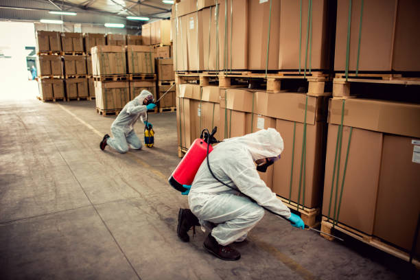 Best Pest Prevention Services  in Lyons, OR