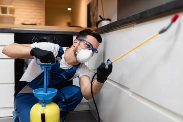 Pest Prevention Services in Lyons, OR