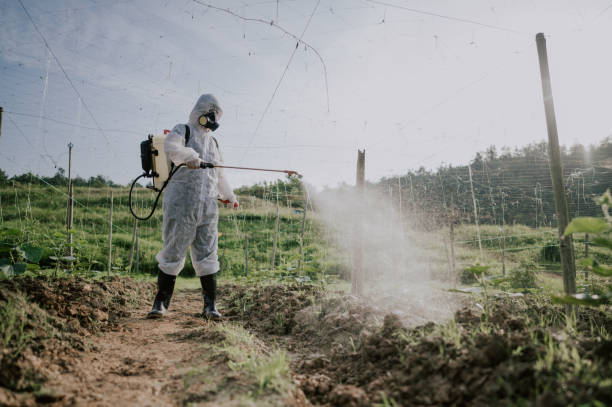 Best Residential Pest Control  in Lyons, OR