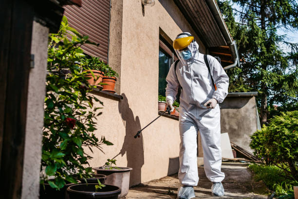 Best Affordable Pest Control Services  in Lyons, OR