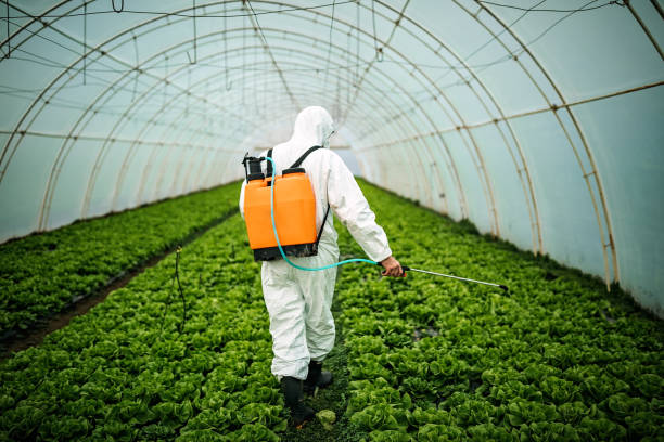 Best Pest Control Near Me  in Lyons, OR