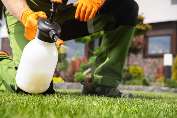 Best Wasp Removal Services  in Lyons, OR