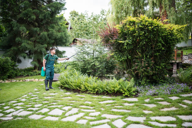 Best Pest Removal Services  in Lyons, OR