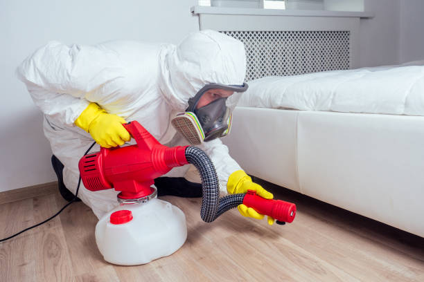 Best Termite Control Services  in Lyons, OR