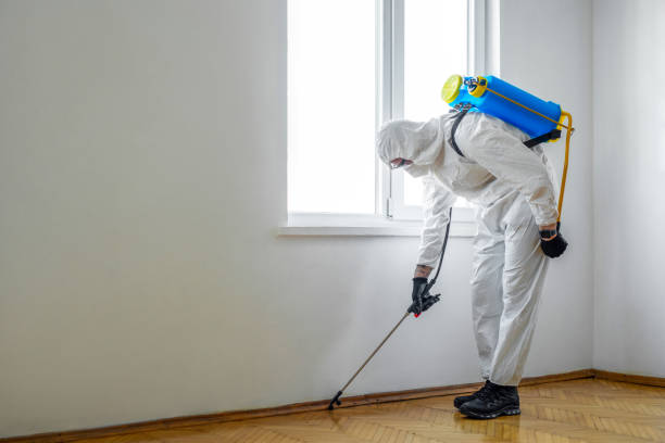 Best Mosquito Control Services  in Lyons, OR