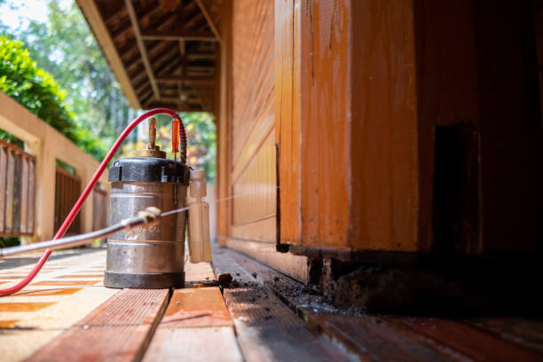 Best Ant Control Services  in Lyons, OR