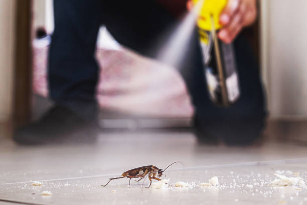 Best Affordable Pest Control Services  in Lyons, OR
