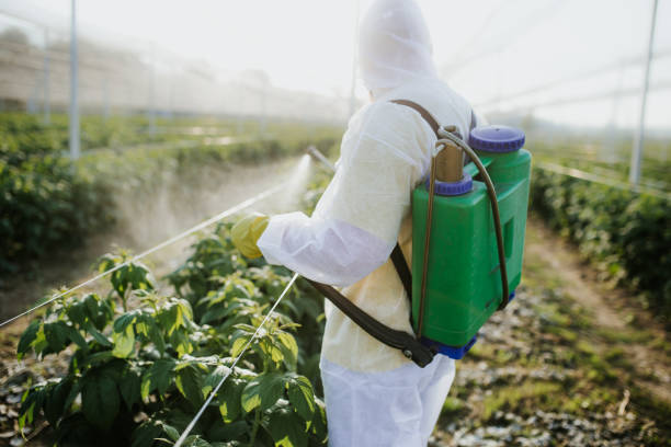 Professional Pest Control in Lyons, OR